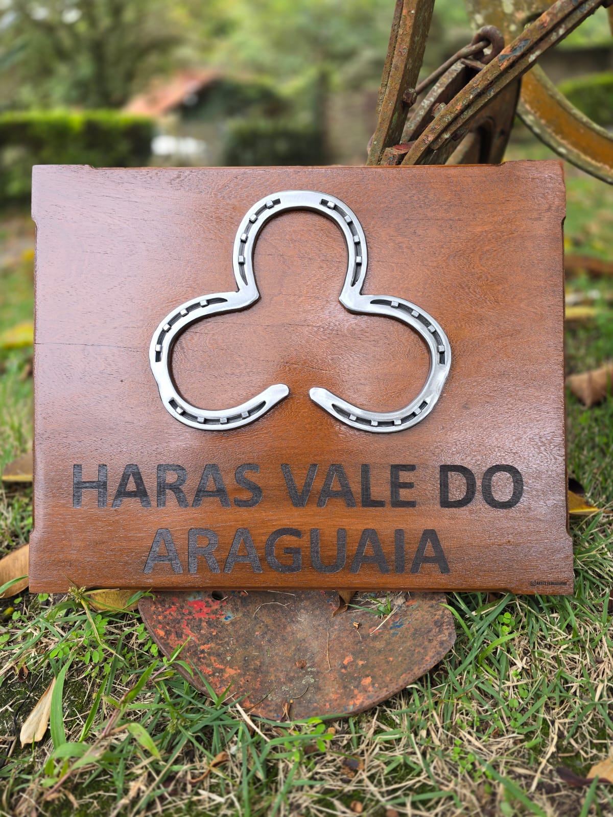 Placa com Ferradura 40x50cm