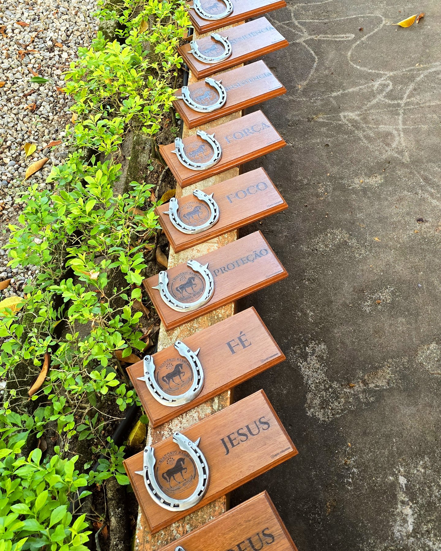 Produto 5