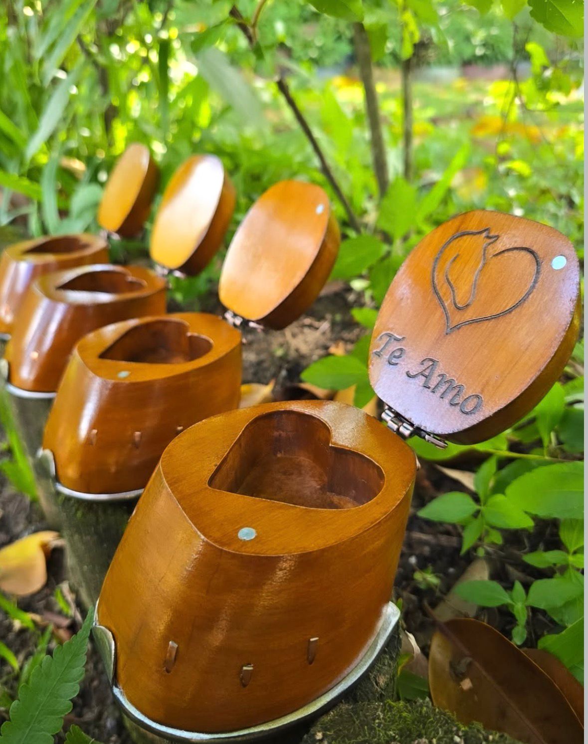 Casco Porta Joias Sertanejo