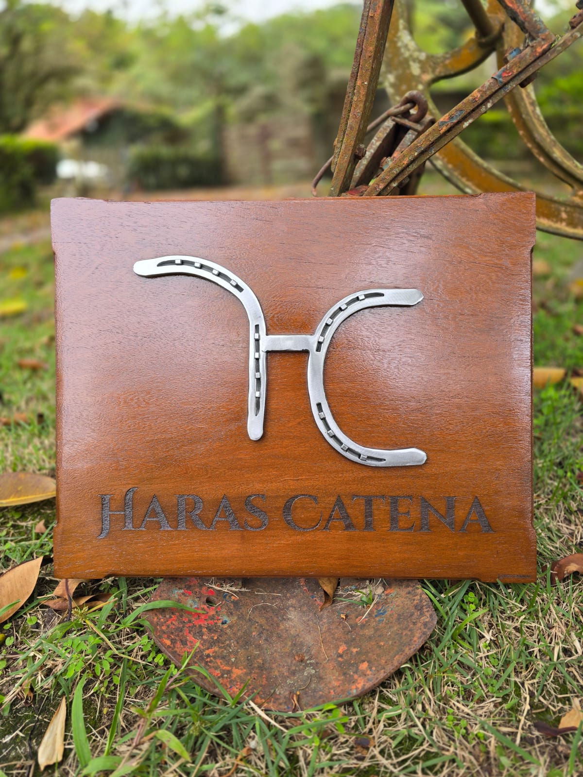 Placa com Ferradura 40x50cm