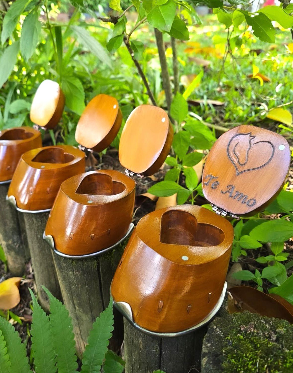 Casco Porta Joias Sertanejo