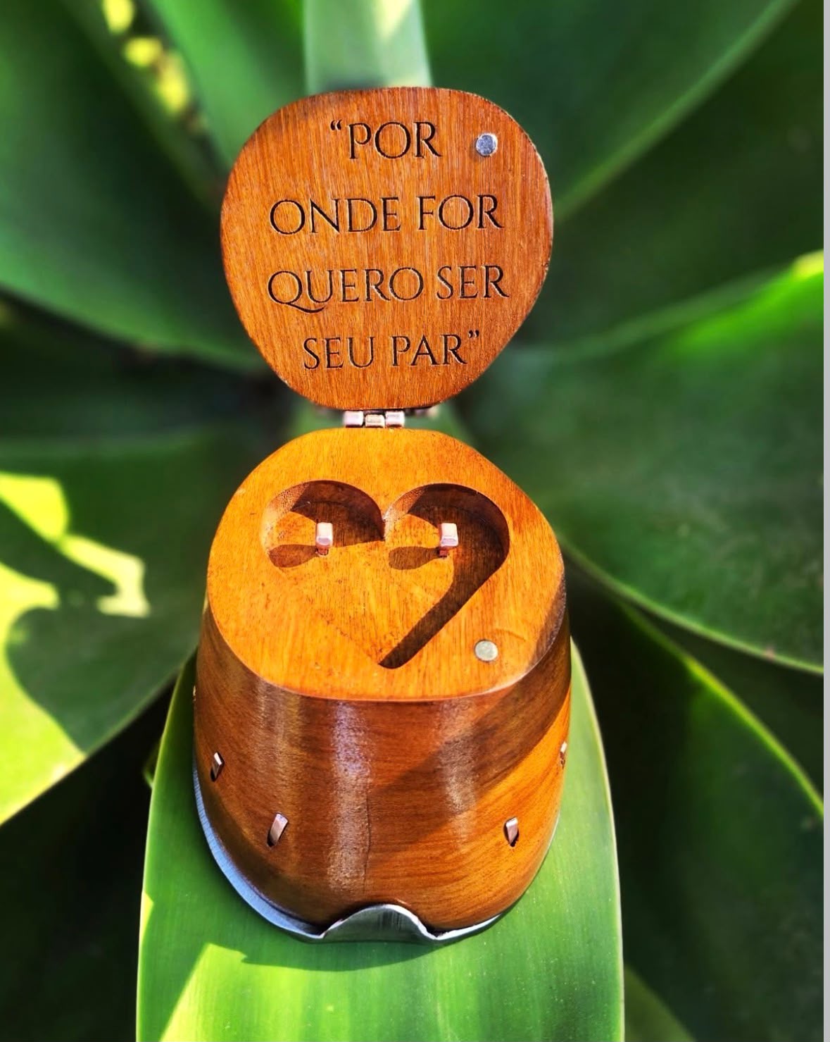 Casco Porta Aliança