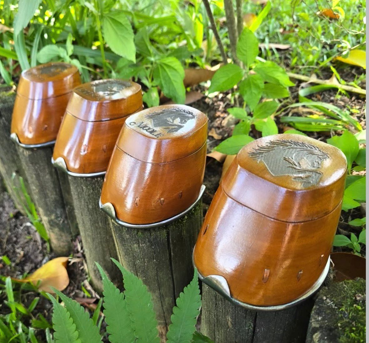 Casco Porta Joias Sertanejo